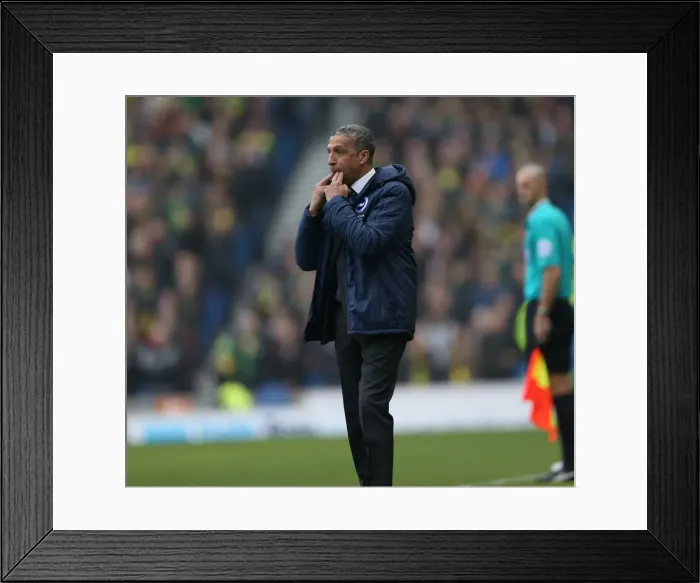 Framed Print : Chris Hughton Directs Brighton and Hove Albion vs. Norwich City, April 2015 Framed Print : Chris Hughton Directs Brighton and Hove Albion vs. Norwich City, April 2015
