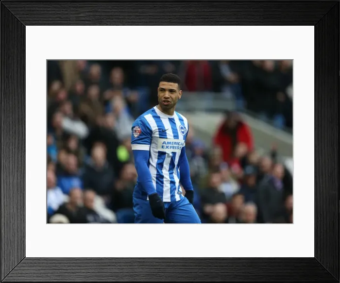 Framed Print : Brighton & Hove Albion vs. Norwich City: Leon Best's Action-Packed Performance in the Sky Bet Championship Clash (3rd April 2015) Framed Print : Brighton & Hove Albion vs. Norwich City: Leon Best's Action-Packed Performance in the Sky Bet Championship Clash (3rd April 2015)