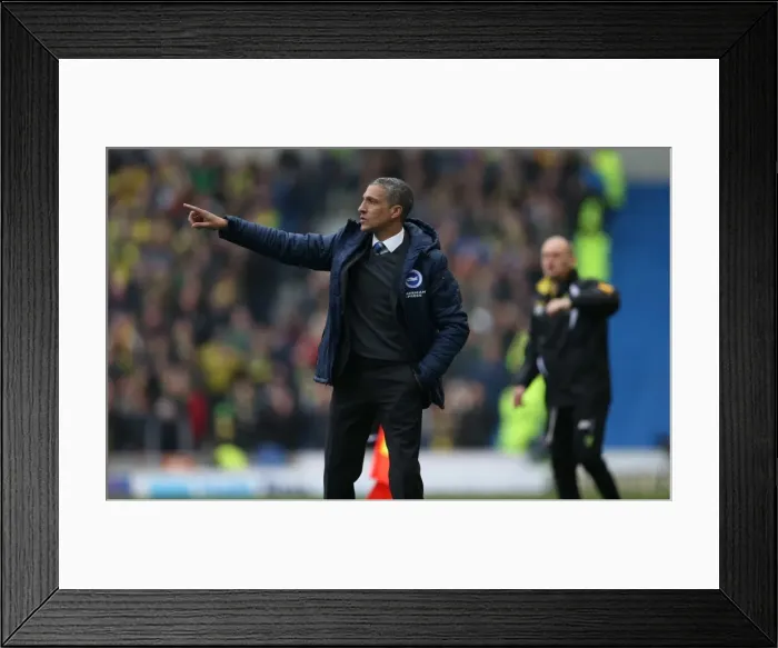 Framed Print : Chris Hughton Focused: Brighton and Hove Albion vs Norwich City, Sky Bet Championship, 3rd April 2015 Framed Print : Chris Hughton Focused: Brighton and Hove Albion vs Norwich City, Sky Bet Championship, 3rd April 2015