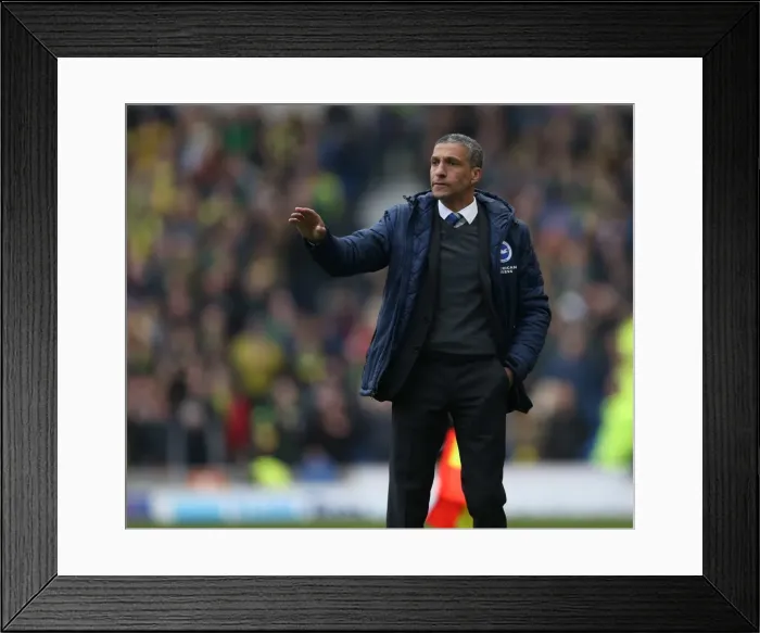 Framed Print : Chris Hughton Guides Brighton and Hove Albion vs. Norwich City, April 2015 Framed Print : Chris Hughton Guides Brighton and Hove Albion vs. Norwich City, April 2015