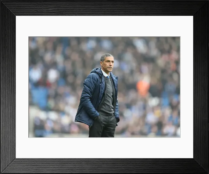 Framed Print : Chris Hughton Leads Brighton and Hove Albion Against Norwich City, April 2015 Framed Print : Chris Hughton Leads Brighton and Hove Albion Against Norwich City, April 2015