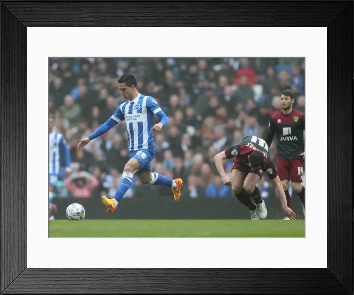 Framed Print : Battle in the Midfield: Beram Kayal's Focused Performance for Brighton Against Norwich City