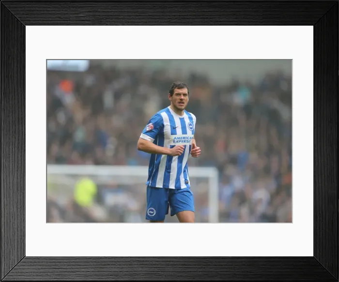 Framed Print : Gordon Greer Leads Brighton and Hove Albion in Championship Battle Against Norwich City (3rd April 2015) Framed Print : Gordon Greer Leads Brighton and Hove Albion in Championship Battle Against Norwich City (3rd April 2015)