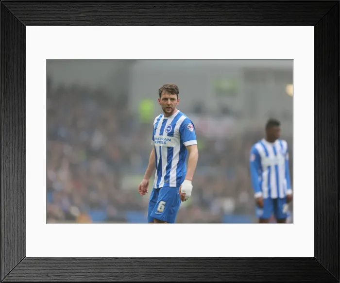Framed Print : Brighton and Hove Albion's Dale Stephens in Action Against Norwich City - Sky Bet Championship 2015