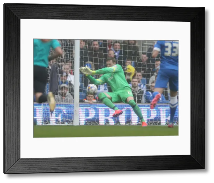 Framed Print : David Stockdale: In Action for Brighton & Hove Albion Against Norwich City (3rd April 2015)
