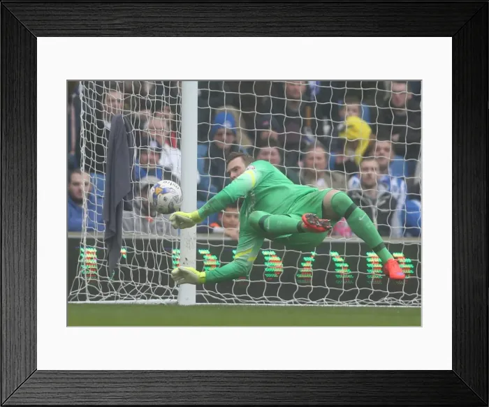 Framed Print : David Stockdale: Brighton's Unyielding Guardian vs Norwich City (April 3, 2015)