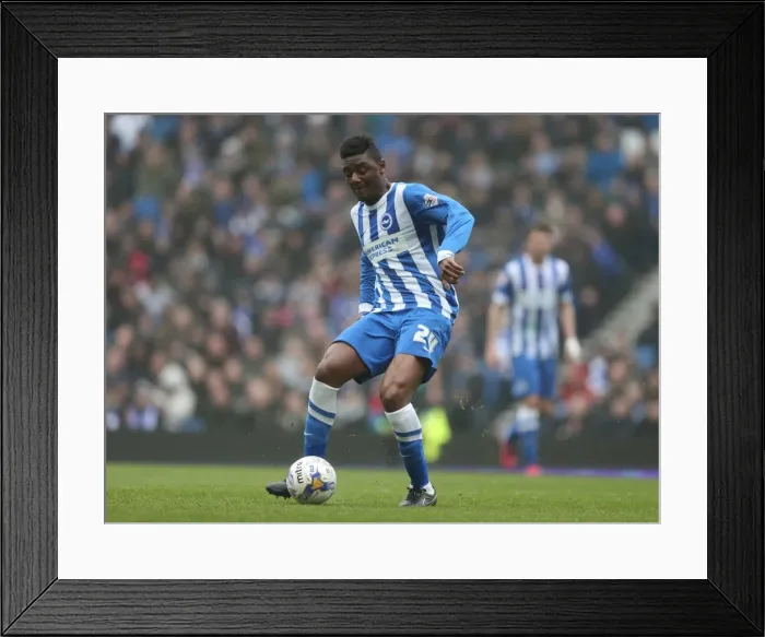 Framed Print : Brighton & Hove Albion vs Norwich City: Rohan Ince's Intense Midfield Battle (3rd April 2015) Framed Print : Brighton & Hove Albion vs Norwich City: Rohan Ince's Intense Midfield Battle (3rd April 2015)