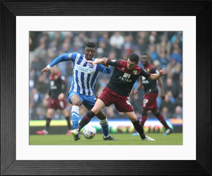 Framed Print : Brighton & Hove Albion vs Norwich City: Rohan Ince's Intense Midfield Battle (3rd April 2015)