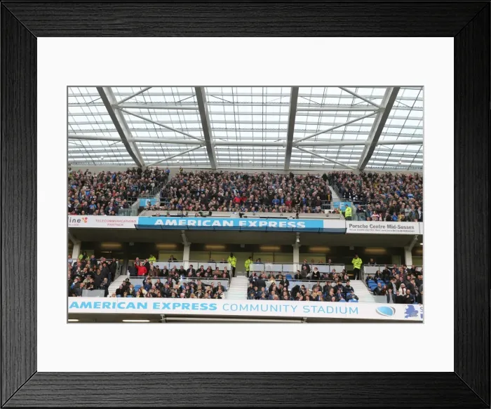 Framed Print : Sea of Passion: Brighton & Hove Albion Fans vs. Norwich City (3rd April 2015) Framed Print : Sea of Passion: Brighton & Hove Albion Fans vs. Norwich City (3rd April 2015)