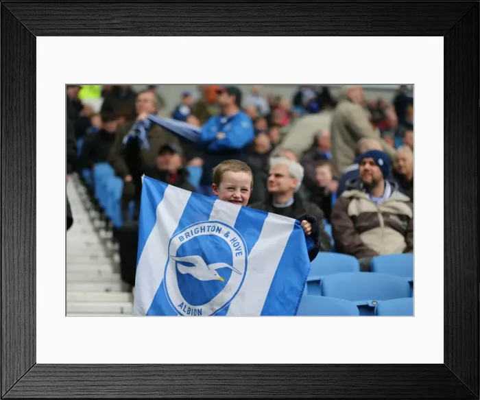 Framed Print : Passionate Showdown: Brighton & Hove Albion vs. Norwich City at American Express Community Stadium (April 2015) Framed Print : Passionate Showdown: Brighton & Hove Albion vs. Norwich City at American Express Community Stadium (April 2015)