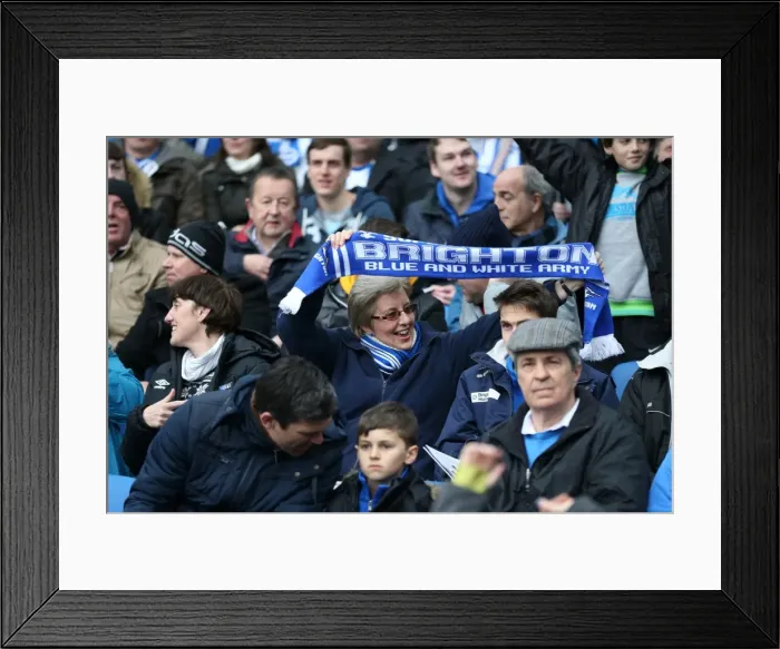 Framed Print : Passionate Fan Showdown: Brighton and Hove Albion vs. Norwich City at American Express Community Stadium (3rd April 2015) Framed Print : Passionate Fan Showdown: Brighton and Hove Albion vs. Norwich City at American Express Community Stadium (3rd April 2015)