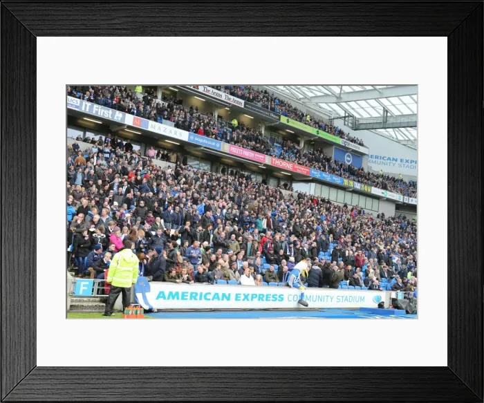 Framed Print : Passionate Showdown: Brighton and Hove Albion vs. Norwich City at American Express Community Stadium (3rd April 2015) Framed Print : Passionate Showdown: Brighton and Hove Albion vs. Norwich City at American Express Community Stadium (3rd April 2015)