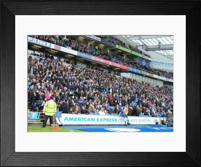 Framed Print : Passionate Showdown: Brighton and Hove Albion vs. Norwich City at American Express Community Stadium (3rd April 2015) Framed Print : Passionate Showdown: Brighton and Hove Albion vs. Norwich City at American Express Community Stadium (3rd April 2015)
