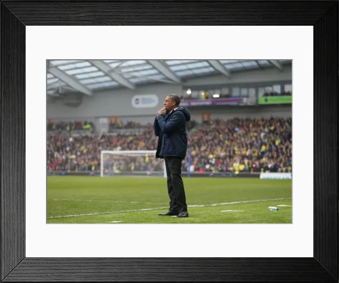 Framed Print : Chris Hughton's Focus: Brighton and Hove Albion vs. Norwich City, Sky Bet Championship, 3rd April 2015 Framed Print : Chris Hughton's Focus: Brighton and Hove Albion vs. Norwich City, Sky Bet Championship, 3rd April 2015