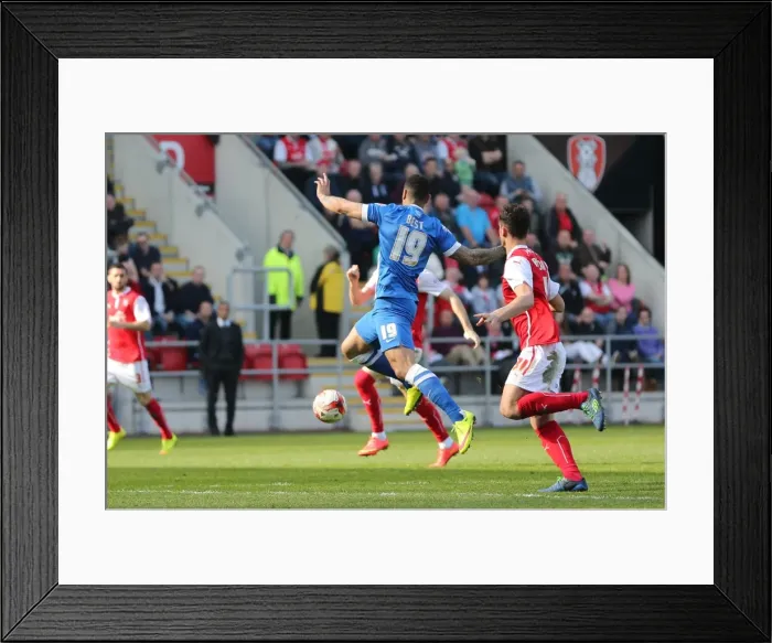 Framed Print : Leon Best in Action: Rotherham United vs. Brighton and Hove Albion, Sky Bet Championship, 6th April 2015