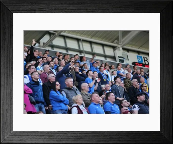 Framed Print : Brighton and Hove Albion Fans in Full Force: Rotherham United Match, April 2015 Framed Print : Brighton and Hove Albion Fans in Full Force: Rotherham United Match, April 2015
