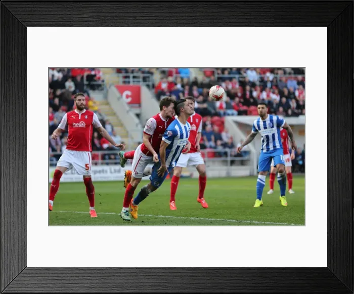 Framed Print : Brighton's Kayal in Action against Rotherham, Sky Bet Championship 2015 Framed Print : Brighton's Kayal in Action against Rotherham, Sky Bet Championship 2015