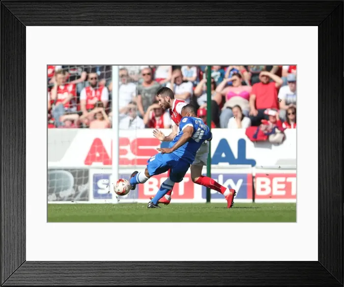 Framed Print : Chris O'Grady Faces Off Against Brighton and Hove Albion in Sky Bet Championship Clash at Rotherham United (06APR15) Framed Print : Chris O'Grady Faces Off Against Brighton and Hove Albion in Sky Bet Championship Clash at Rotherham United (06APR15)