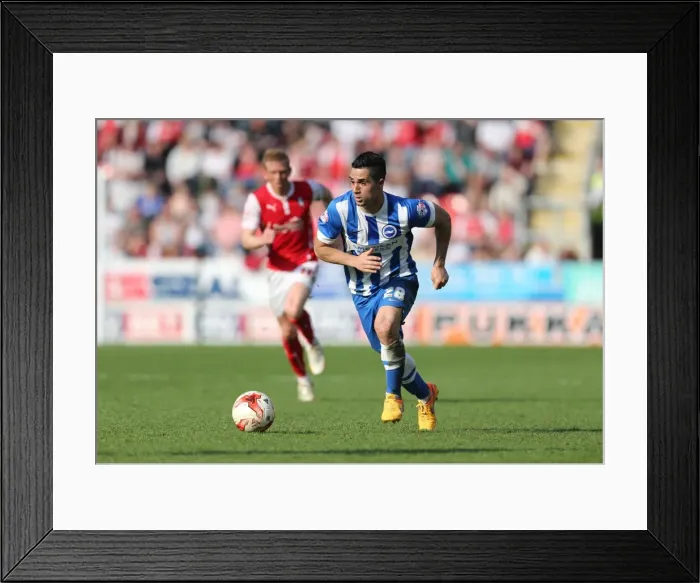 Framed Print : Brighton's Kayal in Action: Sky Bet Championship Clash vs. Rotherham United (April 6, 2015)