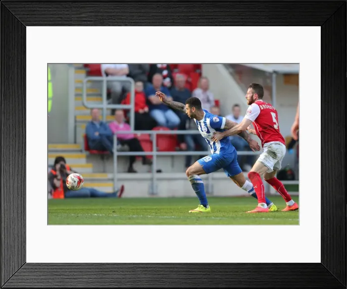 Framed Print : Leon Best Scores for Brighton Against Rotherham United in Sky Bet Championship Match, April 2015 Framed Print : Leon Best Scores for Brighton Against Rotherham United in Sky Bet Championship Match, April 2015
