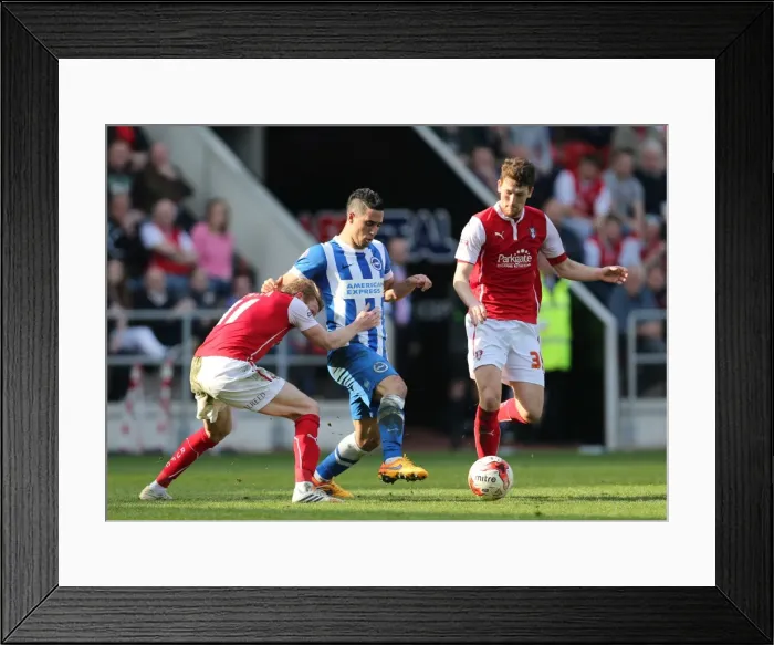 Framed Print : Brighton's Kayal in Action: Rotherham United vs Brighton and Hove Albion (6th April 2015) Framed Print : Brighton's Kayal in Action: Rotherham United vs Brighton and Hove Albion (6th April 2015)