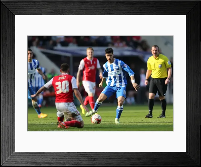 Framed Print : Joao Carlos Teixeira in Action for Brighton and Hove Albion against Rotherham United, Sky Bet Championship 2015 Framed Print : Joao Carlos Teixeira in Action for Brighton and Hove Albion against Rotherham United, Sky Bet Championship 2015