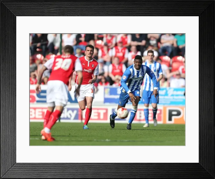 Framed Print : Rohan Ince in Action: Brighton Midfielder Battles in Sky Bet Championship Clash vs. Rotherham United (6th April 2015) Framed Print : Rohan Ince in Action: Brighton Midfielder Battles in Sky Bet Championship Clash vs. Rotherham United (6th April 2015)