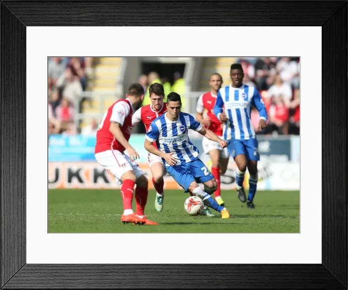Framed Print : Brighton's Kayal in Action against Rotherham United (06APR15) Framed Print : Brighton's Kayal in Action against Rotherham United (06APR15)