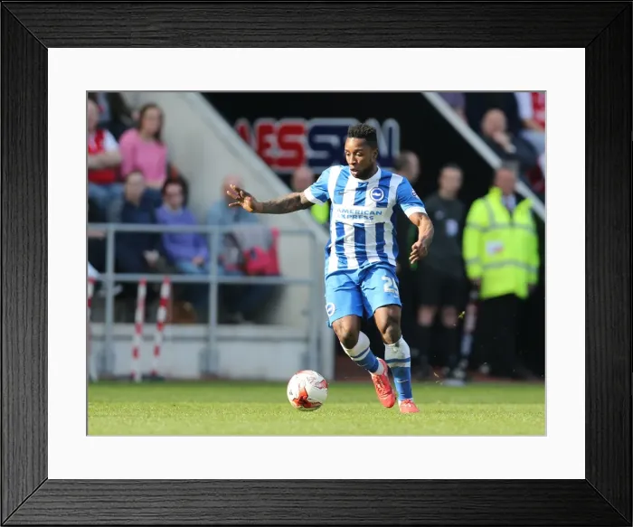 Framed Print : Brighton's LuaLua Shines in Rotherham Championship Clash, 6th April 2015