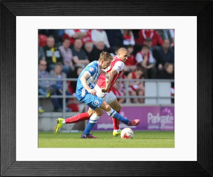 Framed Print : Dale Stephens in Action: Rotherham United vs. Brighton and Hove Albion, Sky Bet Championship, 6th April 2015 Framed Print : Dale Stephens in Action: Rotherham United vs. Brighton and Hove Albion, Sky Bet Championship, 6th April 2015