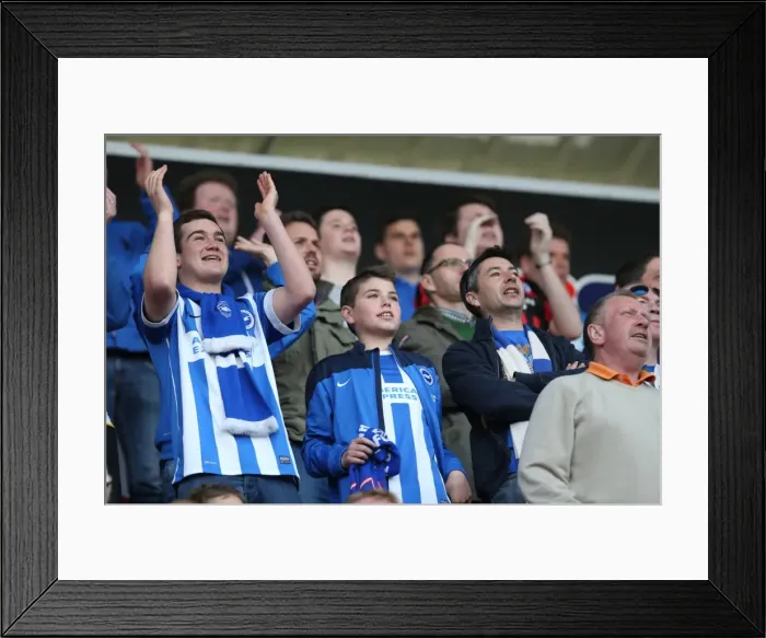Framed Print : Brighton and Hove Albion Fans in Full Force: Rotherham United vs. Brighton and Hove Albion, April 2015 Framed Print : Brighton and Hove Albion Fans in Full Force: Rotherham United vs. Brighton and Hove Albion, April 2015