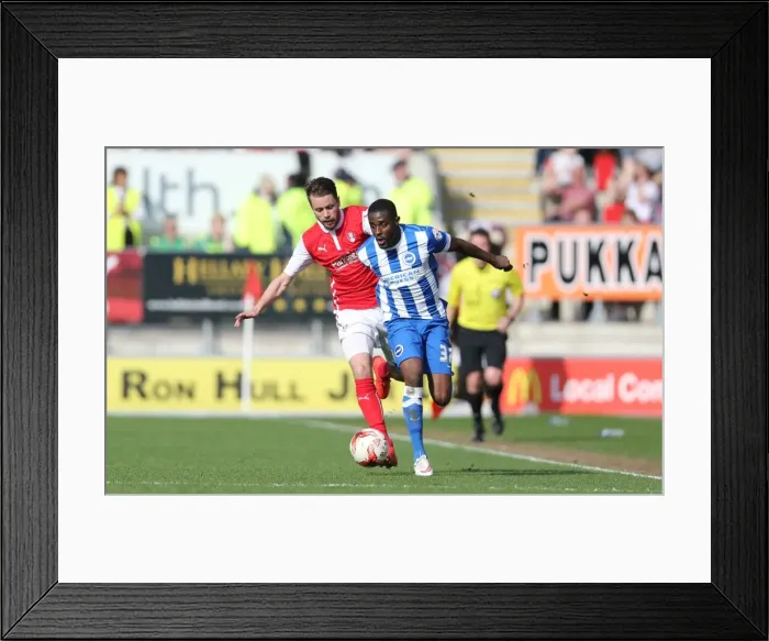 Framed Print : Mustapha Carayol: In Action for Brighton and Hove Albion vs. Rotherham United, Sky Bet Championship, 6th April 2015 Framed Print : Mustapha Carayol: In Action for Brighton and Hove Albion vs. Rotherham United, Sky Bet Championship, 6th April 2015