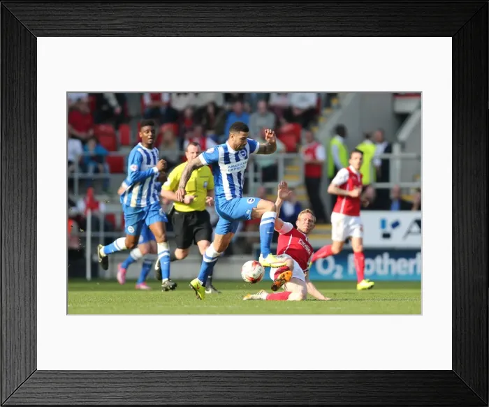 Framed Print : Leon Best Scored for Brighton Against Rotherham United in Championship Match, April 2015 Framed Print : Leon Best Scored for Brighton Against Rotherham United in Championship Match, April 2015