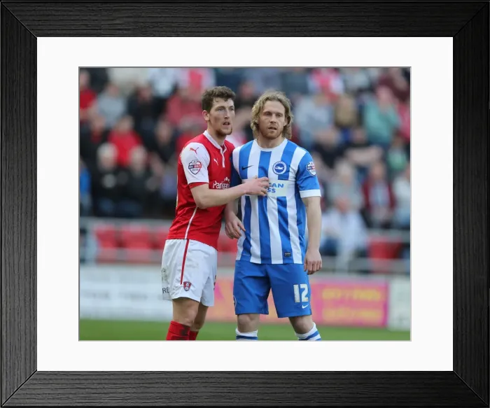 Framed Print : Craig Mackail-Smith: In Action for Brighton and Hove Albion vs. Rotherham United, Sky Bet Championship, 6th April 2015 Framed Print : Craig Mackail-Smith: In Action for Brighton and Hove Albion vs. Rotherham United, Sky Bet Championship, 6th April 2015