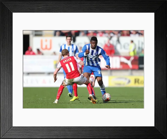 Framed Print : Rohan Ince in Action: Rotherham United vs. Brighton and Hove Albion, Sky Bet Championship, 6th April 2015