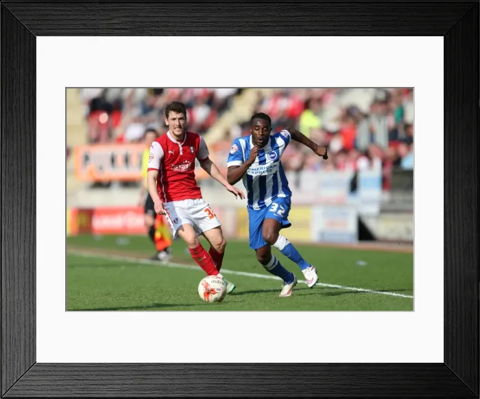 Framed Print : Mustapha Carayol: In Action for Brighton against Rotherham, Sky Bet Championship, 6th April 2015