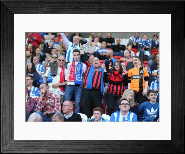 Framed Print : Brighton and Hove Albion Fans Unwavering Support: Rotherham United vs. Brighton and Hove Albion, Sky Bet Championship Match, April 2015 Framed Print : Brighton and Hove Albion Fans Unwavering Support: Rotherham United vs. Brighton and Hove Albion, Sky Bet Championship Match, April 2015