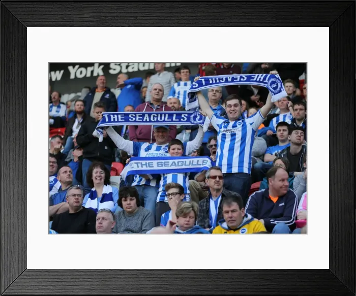 Framed Print : Brighton and Hove Albion Fans in Full Force: Rotherham United vs. Brighton and Hove Albion, April 2015 Framed Print : Brighton and Hove Albion Fans in Full Force: Rotherham United vs. Brighton and Hove Albion, April 2015