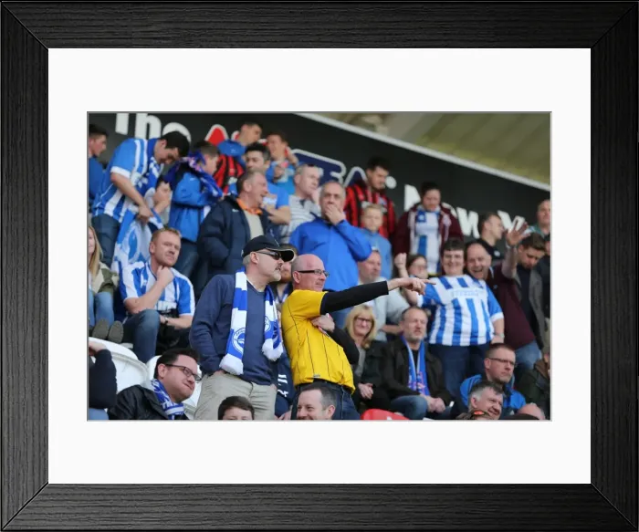 Framed Print : Brighton and Hove Albion Fans in Full Force: Rotherham United vs. Brighton and Hove Albion, April 2015 Framed Print : Brighton and Hove Albion Fans in Full Force: Rotherham United vs. Brighton and Hove Albion, April 2015