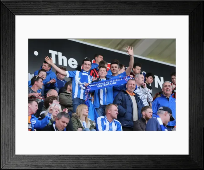 Framed Print : Brighton and Hove Albion Fans in Full Force at Rotherham United Match, April 2015 Framed Print : Brighton and Hove Albion Fans in Full Force at Rotherham United Match, April 2015