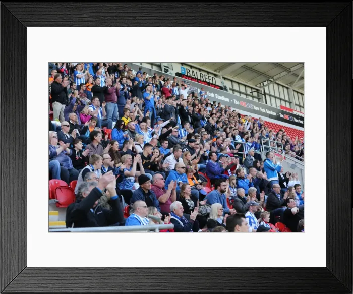 Framed Print : Brighton and Hove Albion Fans in Full Force: Rotherham United Match, April 2015 Framed Print : Brighton and Hove Albion Fans in Full Force: Rotherham United Match, April 2015