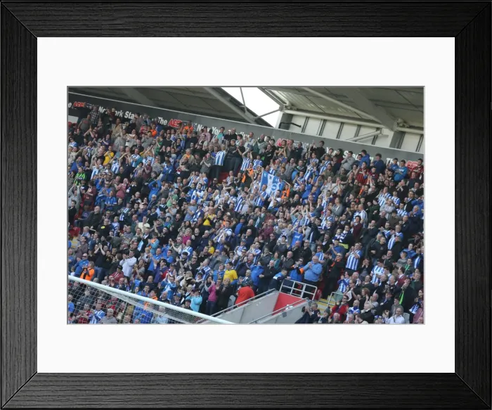 Framed Print : Brighton and Hove Albion Fans in Action at Rotherham United Match, April 2015