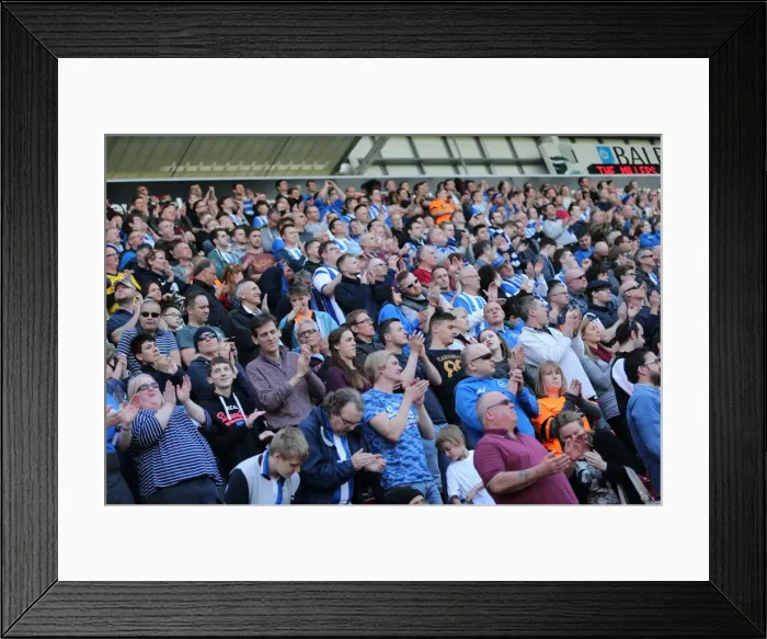 Framed Print : Brighton and Hove Albion Fans Passionate Support at Rotherham United Match, April 2015 Framed Print : Brighton and Hove Albion Fans Passionate Support at Rotherham United Match, April 2015