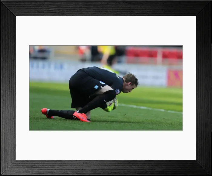 Framed Print : David Stockdale: In Action for Brighton and Hove Albion vs. Rotherham United, Sky Bet Championship, 6th April 2015 Framed Print : David Stockdale: In Action for Brighton and Hove Albion vs. Rotherham United, Sky Bet Championship, 6th April 2015