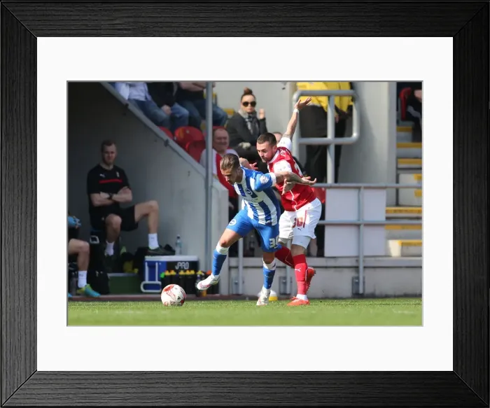 Framed Print : Brighton's Joe Bennett in Action against Rotherham United (6th April 2015) Framed Print : Brighton's Joe Bennett in Action against Rotherham United (6th April 2015)