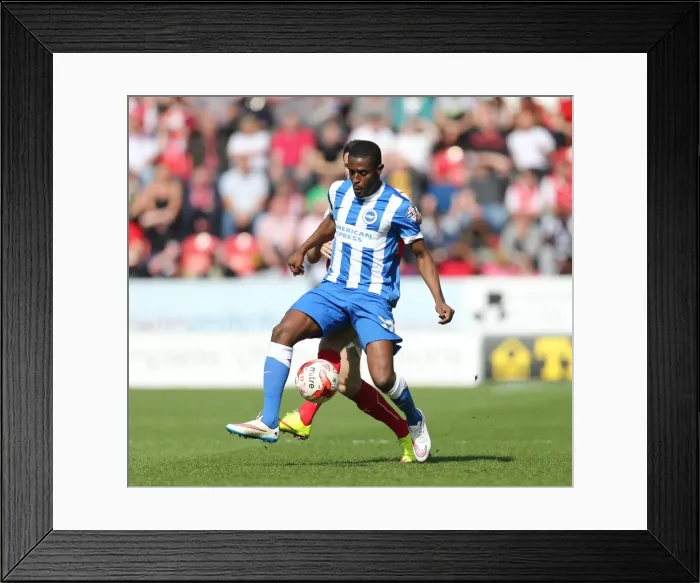 Framed Print : Mustapha Carayol in Action: Rotherham United vs. Brighton and Hove Albion, Sky Bet Championship, 6th April 2015 Framed Print : Mustapha Carayol in Action: Rotherham United vs. Brighton and Hove Albion, Sky Bet Championship, 6th April 2015