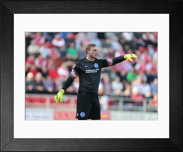 Framed Print : David Stockdale: Saving the Day for Brighton and Hove Albion against Rotherham United, Sky Bet Championship, 6th April 2015 Framed Print : David Stockdale: Saving the Day for Brighton and Hove Albion against Rotherham United, Sky Bet Championship, 6th April 2015