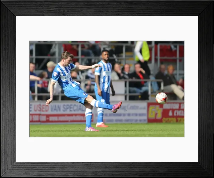 Framed Print : Dale Stephens: In Action for Brighton against Rotherham, Sky Bet Championship, 6th April 2015 Framed Print : Dale Stephens: In Action for Brighton against Rotherham, Sky Bet Championship, 6th April 2015
