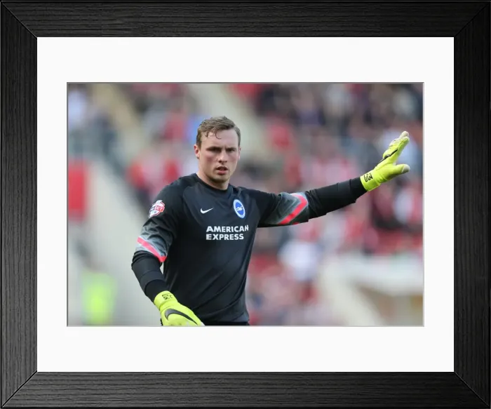 Framed Print : David Stockdale in Action: Rotherham United vs. Brighton and Hove Albion, Sky Bet Championship, 6th April 2015 Framed Print : David Stockdale in Action: Rotherham United vs. Brighton and Hove Albion, Sky Bet Championship, 6th April 2015