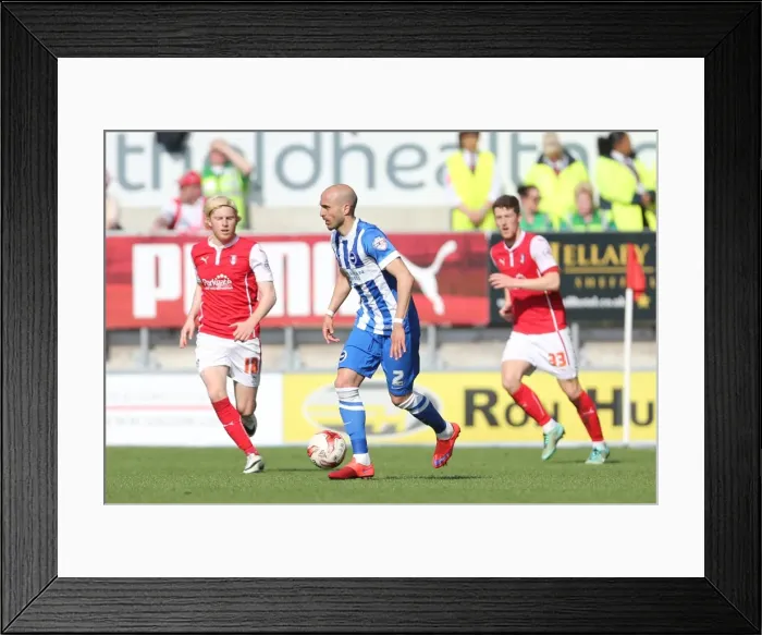 Framed Print : Bruno Saltor of Brighton and Hove Albion in Action against Rotherham United, Sky Bet Championship 2015 Framed Print : Bruno Saltor of Brighton and Hove Albion in Action against Rotherham United, Sky Bet Championship 2015